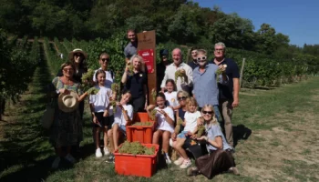vendemmia solidale