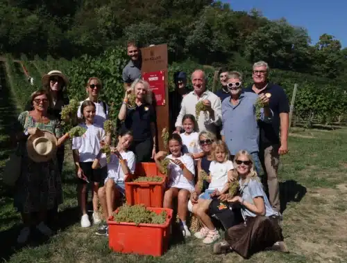vendemmia solidale