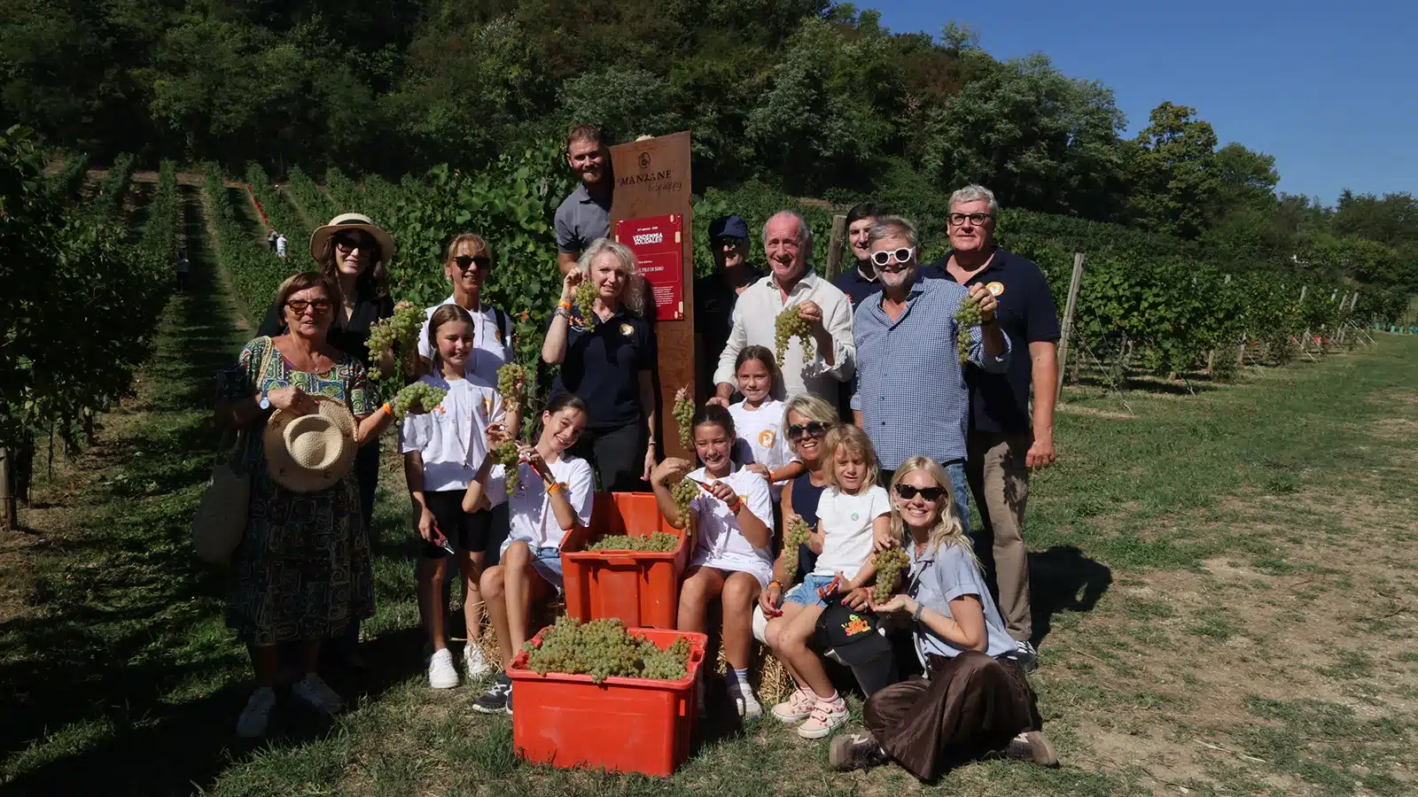 vendemmia solidale