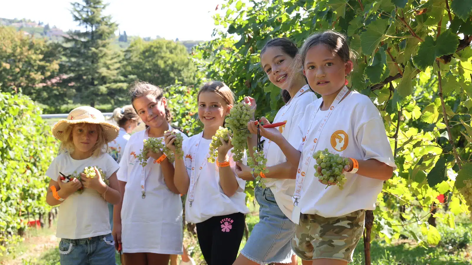 vendemmia solidale