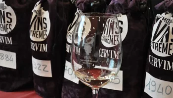 vins extremes