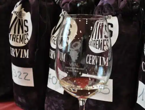 vins extremes