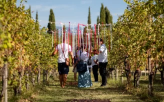 profumi di mosto