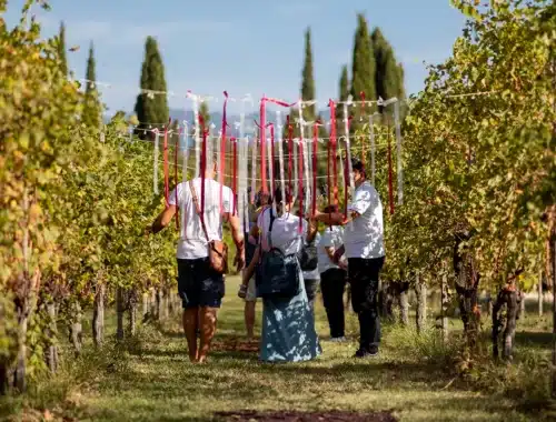profumi di mosto