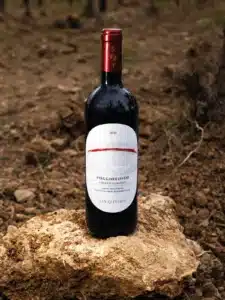 san felice poggiorosso