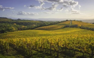 bilanci del vino toscana 2026