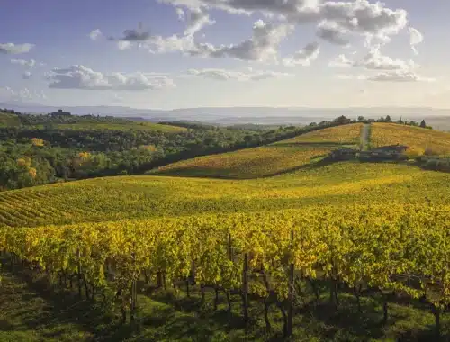bilanci del vino toscana 2026