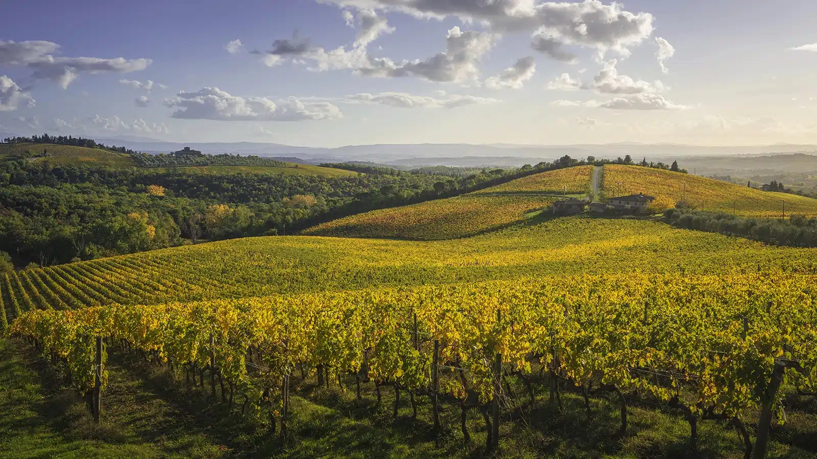 bilanci del vino toscana 2026
