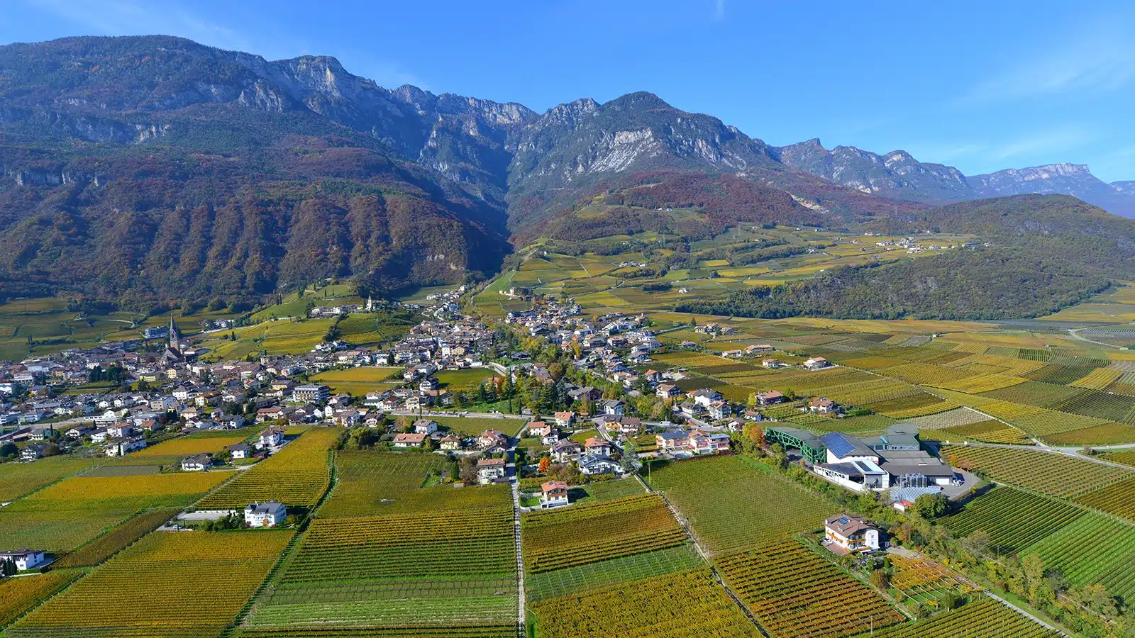 cantina tramin