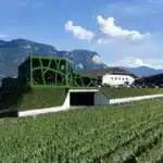cantina tramin