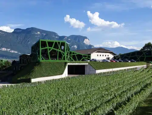 cantina tramin