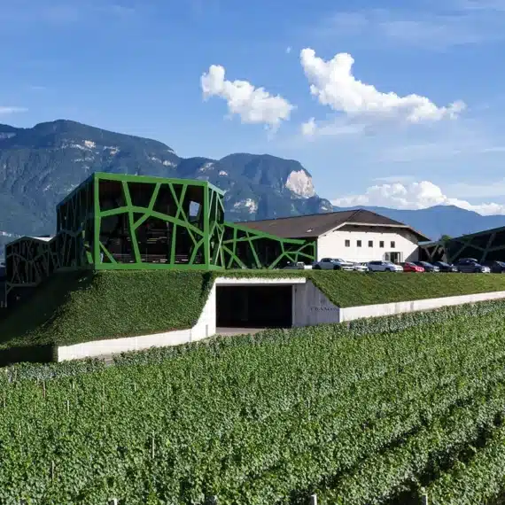 cantina tramin