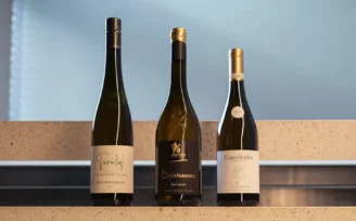 concorso sauvignon blanc 2026