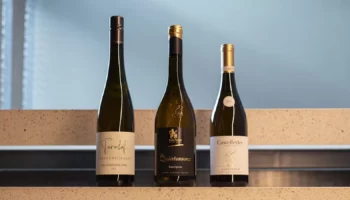 concorso sauvignon blanc 2026