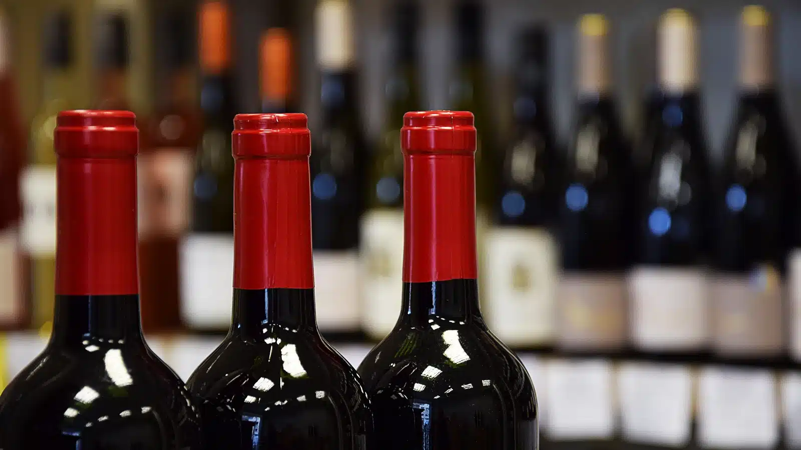 export vino terzo trimestre 2026