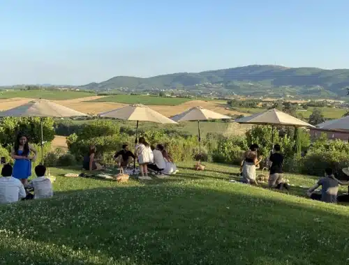 cantine aperte a san martino mtv umbria 2026