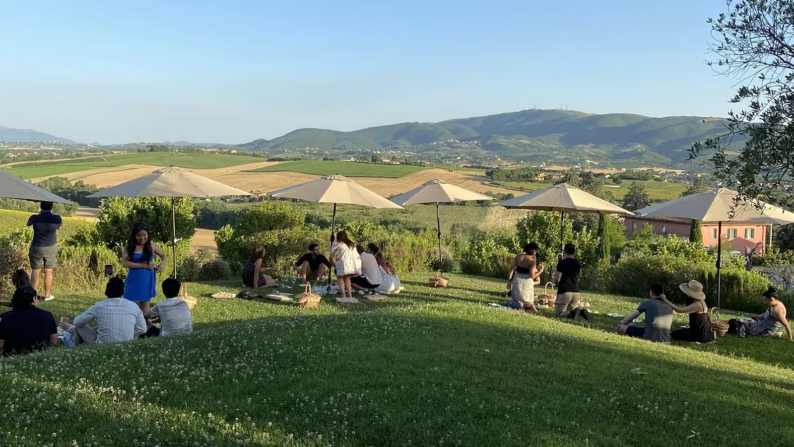 cantine aperte a san martino mtv umbria 2026