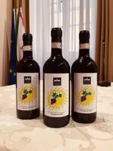 cantina vignaioli scansano solidarietà